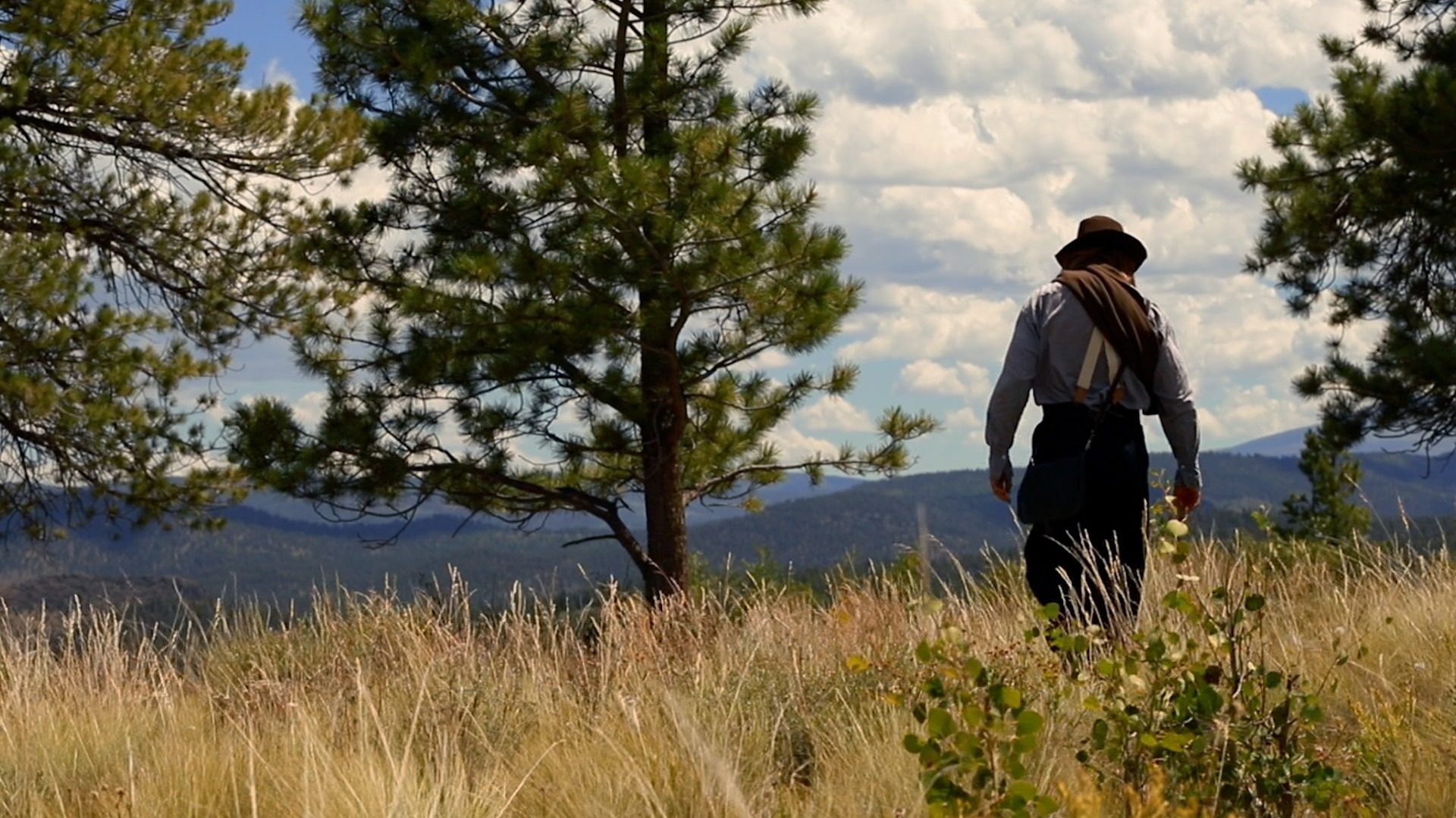Walking through tall grass